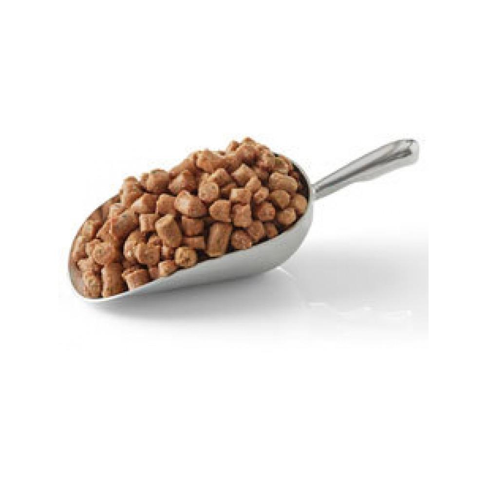 Frozen Lamb Dog Food