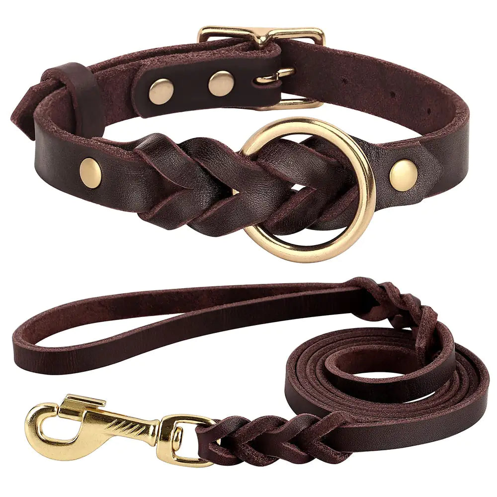 Dog Collar and Leash Set Brown L