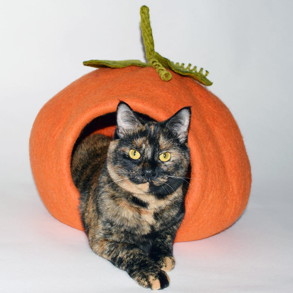Karma Cat Pumpkin Cave