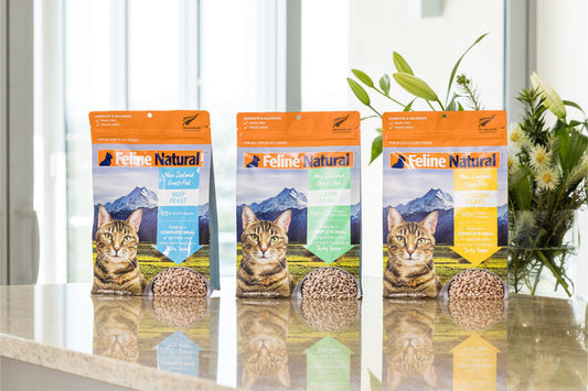 Feline Naturals Single Protein Freeze Dried 320g