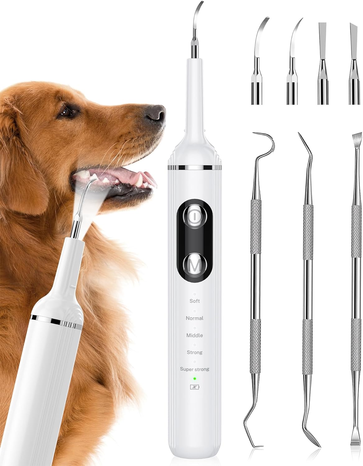 Plaque Remover for Teeth, Pet Tooth Brushing Kit, Dental Tools to Remove Plaque and Tartar, Safe for Dog and Cat, with LED Light, White