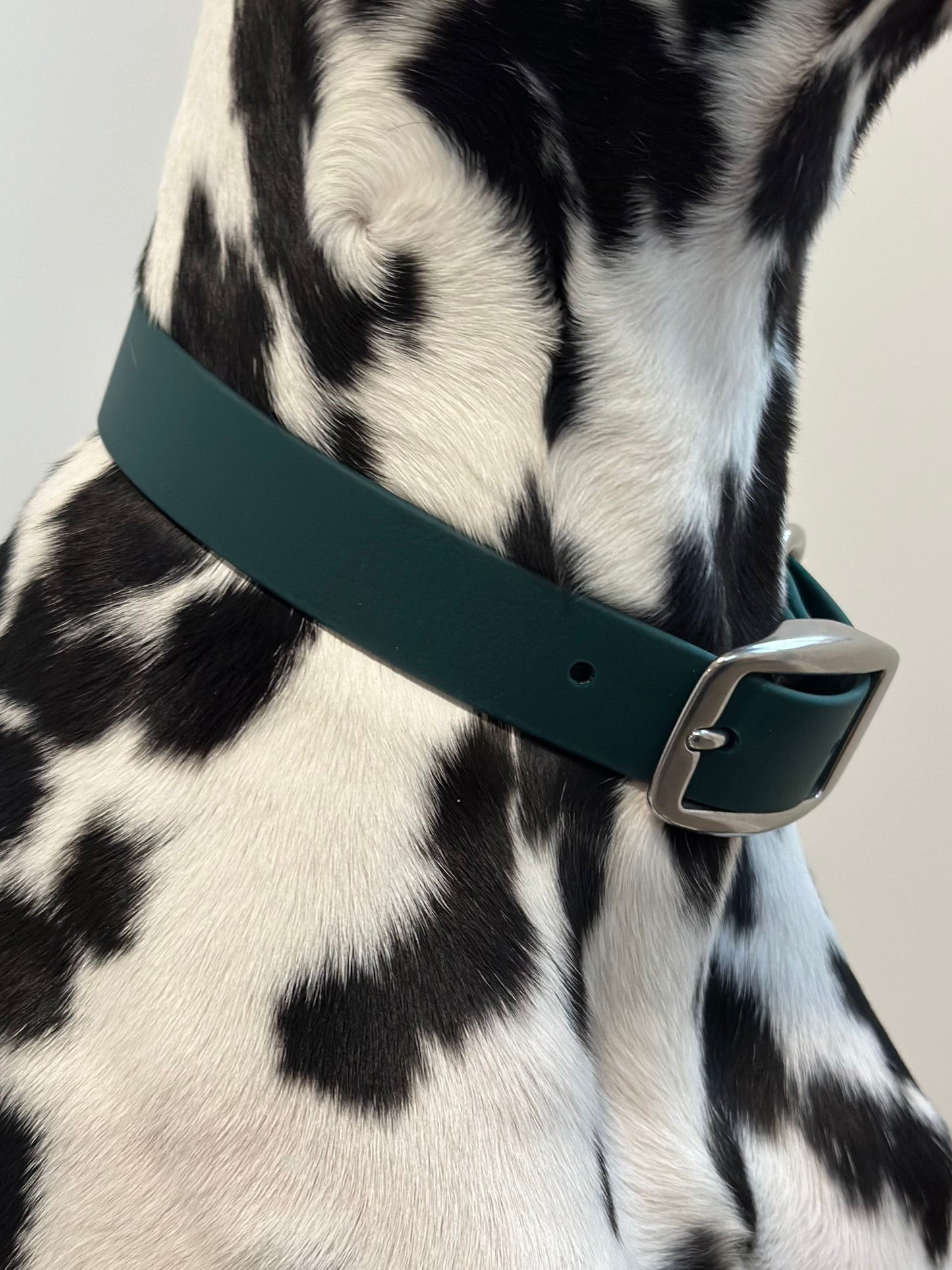Limited Edition: Walk By Good Boy - Biothane Collar - Forest