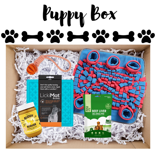 Puppy Enrichment Box