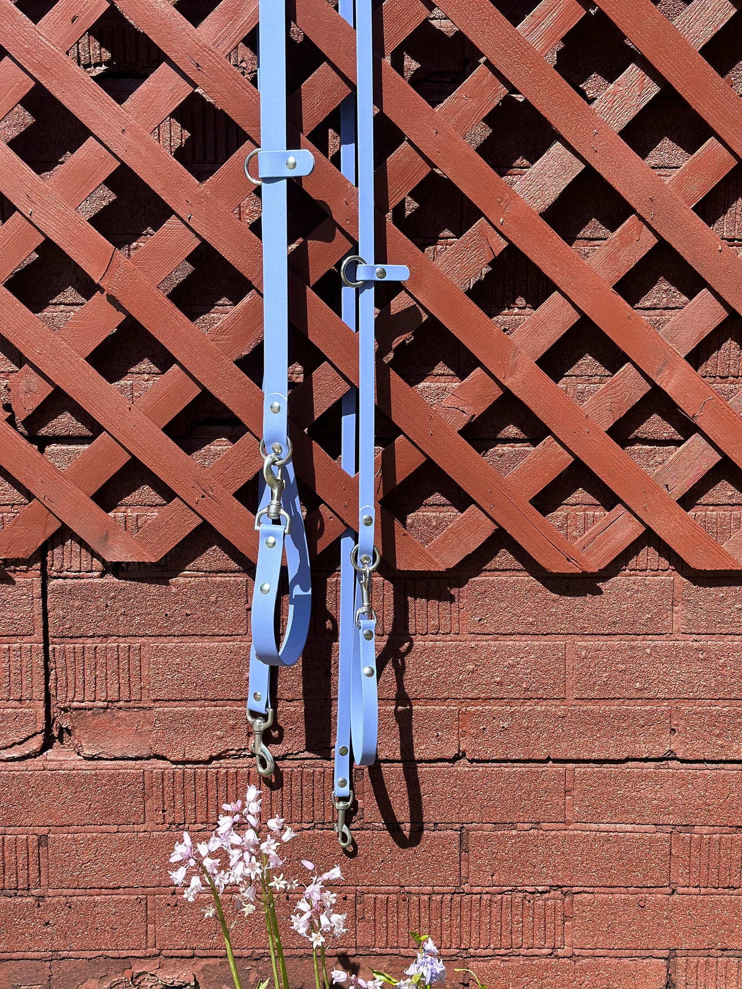 Limited Edition: Walk By Good Boy - the Any Way Lead - Periwinkle