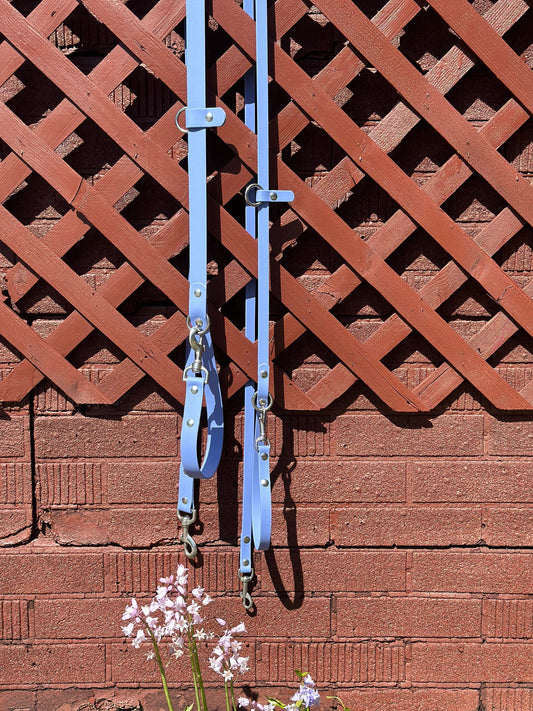 Limited Edition: Walk By Good Boy - the Any Way Lead - Periwinkle