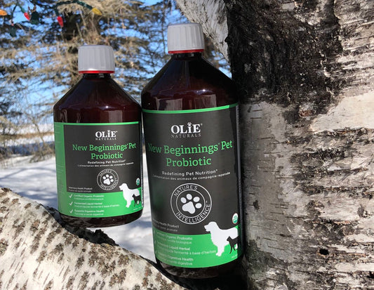 Olie Naturals New Beginnings Pet Probiotic 1Litre