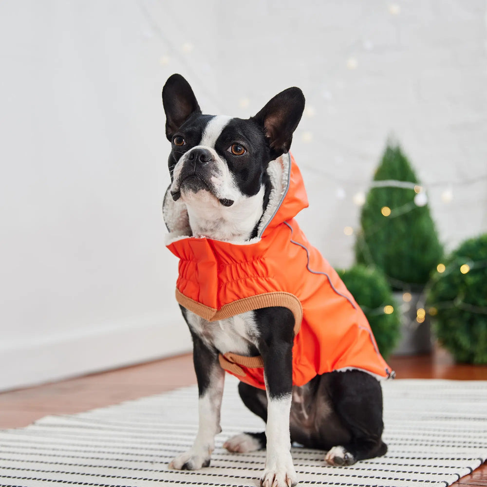 GF Pet Insulated Dog Raincoat