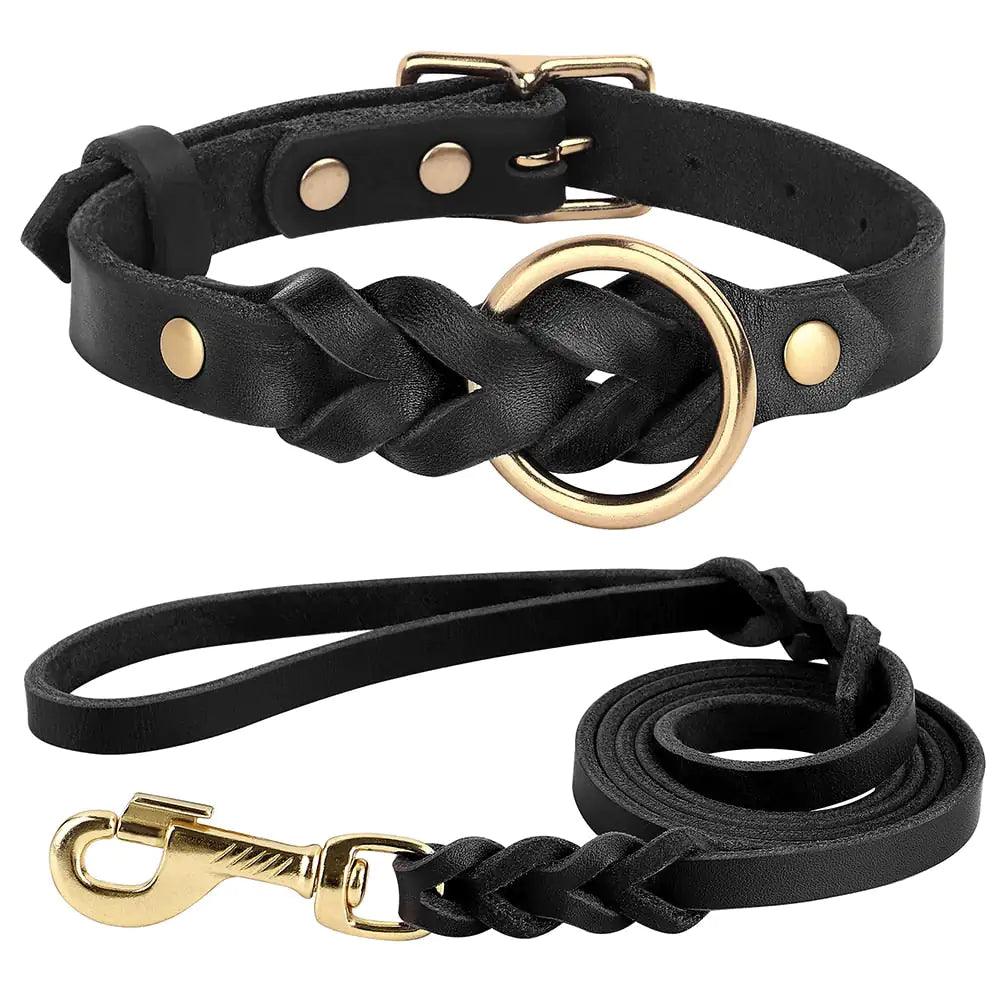 Dog Collar and Leash Set Black L