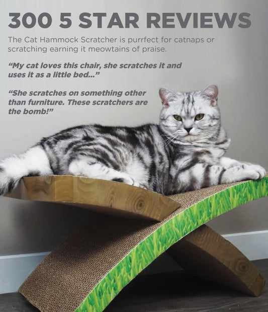 Petstages Easy Life Hammock