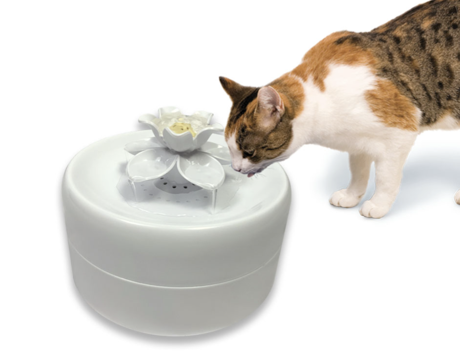 Pioneer Magnolia Fountain 55oz