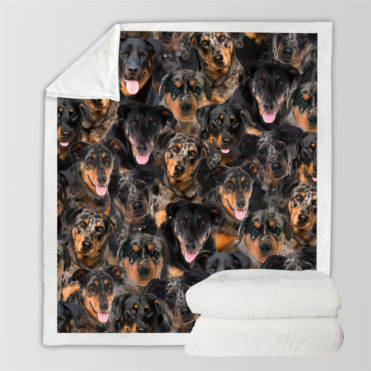 Pet Printed Flannel Blanket