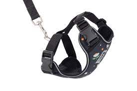 RC Pets - Adventure Kitty Harness w/ Lead Daisies