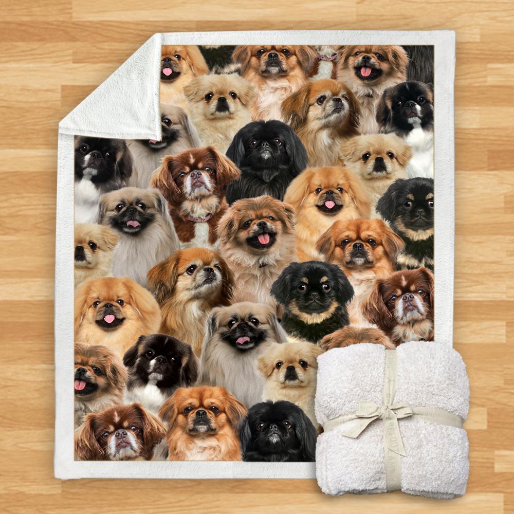 Pet Printed Flannel Blanket