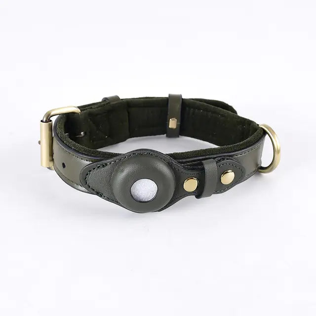 Leather Anti-Lost Dog Collar Green M